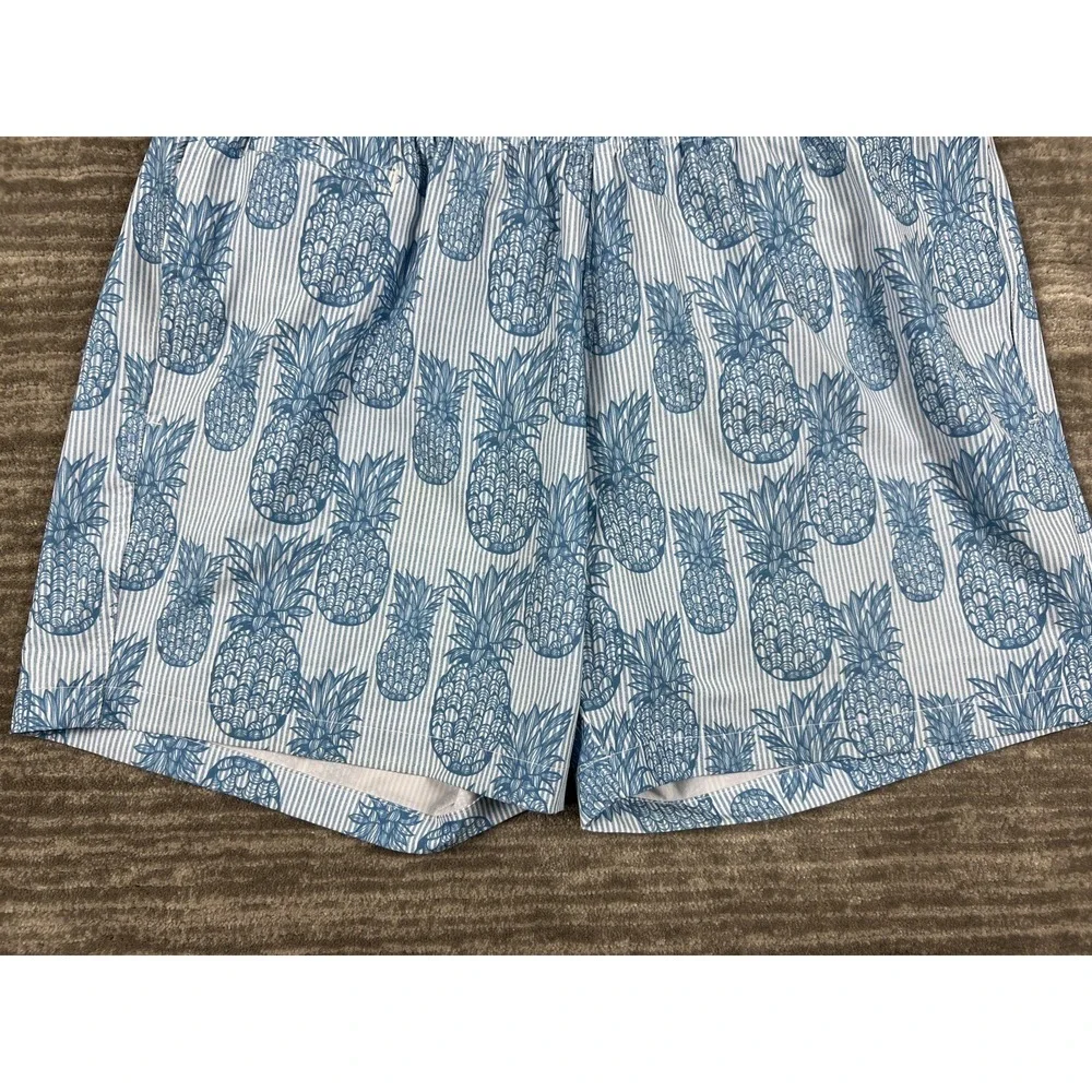 Trunks Surf & Swim Co Swim Trunks Mens XL Blue Pineapple Striped‎ Beach Shorts